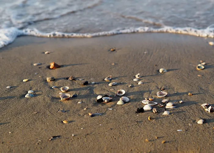 Lovely Seaview Flat-beahost *